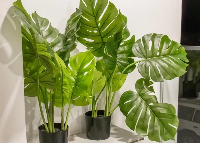 K-apartments Managed By Quattro Forze Group Apartamento